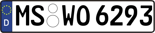 MS-WO6293