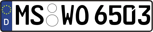 MS-WO6503