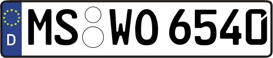 MS-WO6540