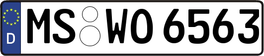 MS-WO6563