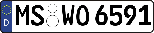 MS-WO6591