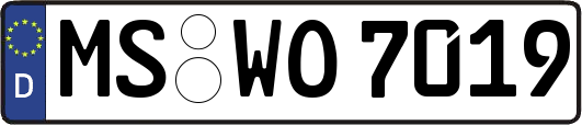 MS-WO7019