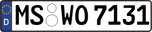 MS-WO7131