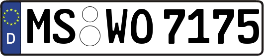 MS-WO7175
