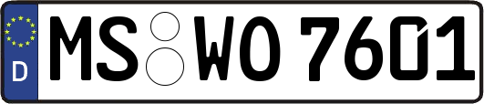 MS-WO7601