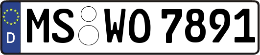 MS-WO7891
