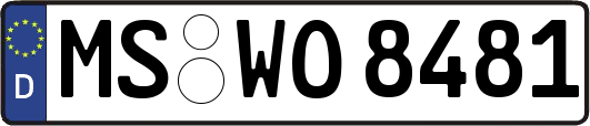 MS-WO8481