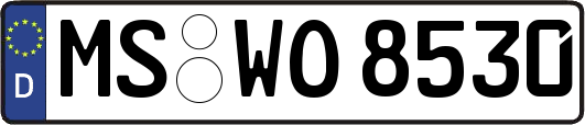 MS-WO8530