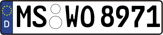 MS-WO8971
