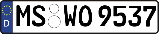 MS-WO9537