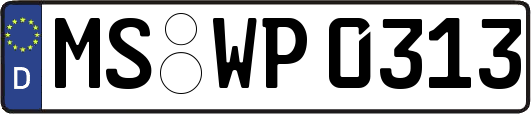 MS-WP0313