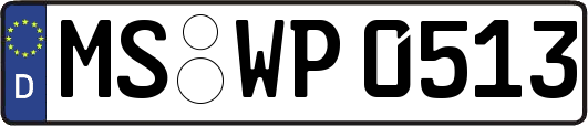 MS-WP0513