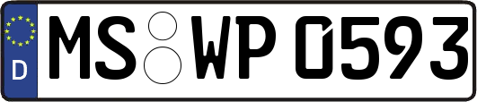 MS-WP0593