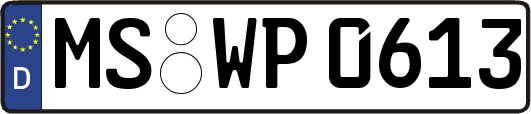MS-WP0613