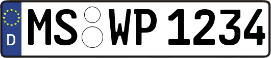 MS-WP1234