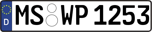 MS-WP1253
