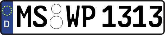 MS-WP1313