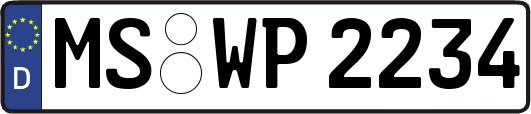 MS-WP2234