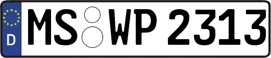 MS-WP2313