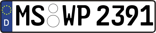MS-WP2391