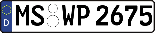 MS-WP2675