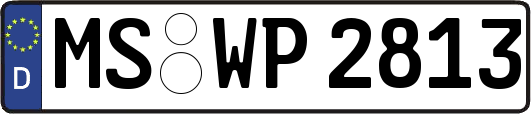 MS-WP2813