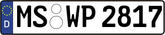 MS-WP2817