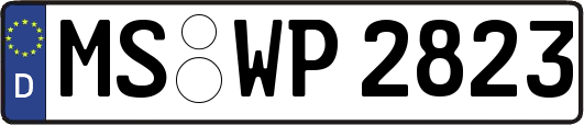 MS-WP2823