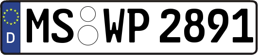 MS-WP2891