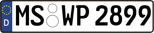 MS-WP2899