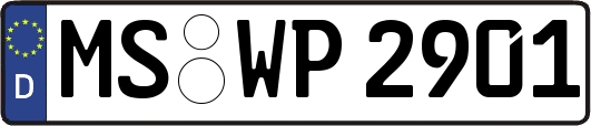 MS-WP2901