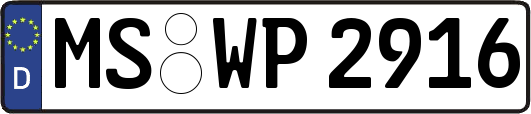 MS-WP2916