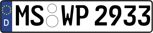 MS-WP2933