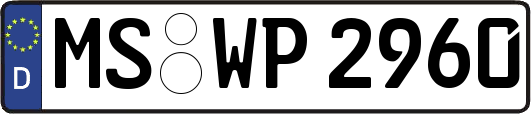MS-WP2960