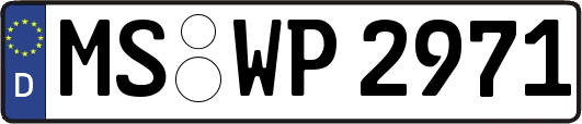 MS-WP2971
