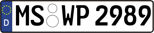 MS-WP2989