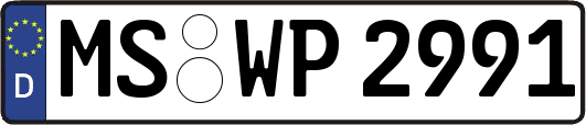 MS-WP2991