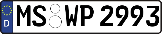 MS-WP2993