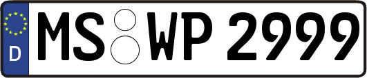 MS-WP2999