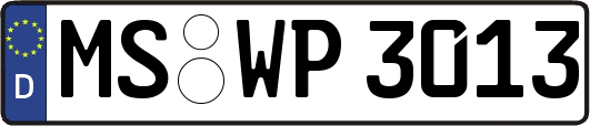MS-WP3013