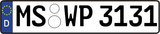 MS-WP3131
