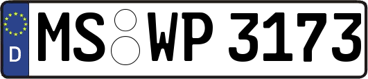 MS-WP3173