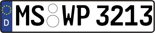 MS-WP3213