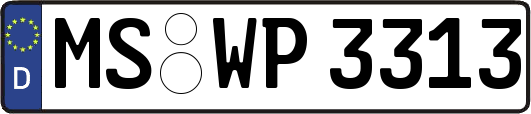 MS-WP3313