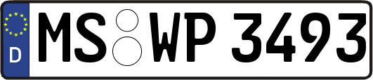 MS-WP3493