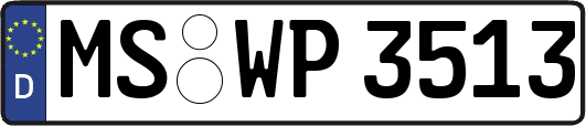 MS-WP3513