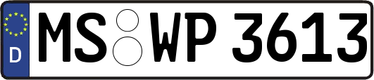 MS-WP3613
