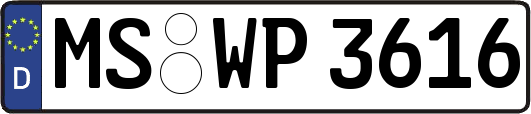 MS-WP3616