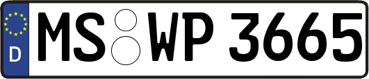 MS-WP3665