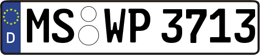 MS-WP3713